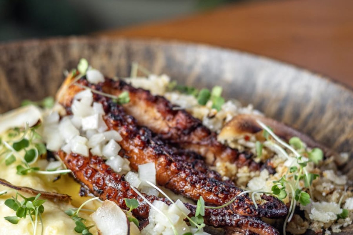 19º Tempero no Forte movimenta a cadeia produtiva no Litoral Norte! 