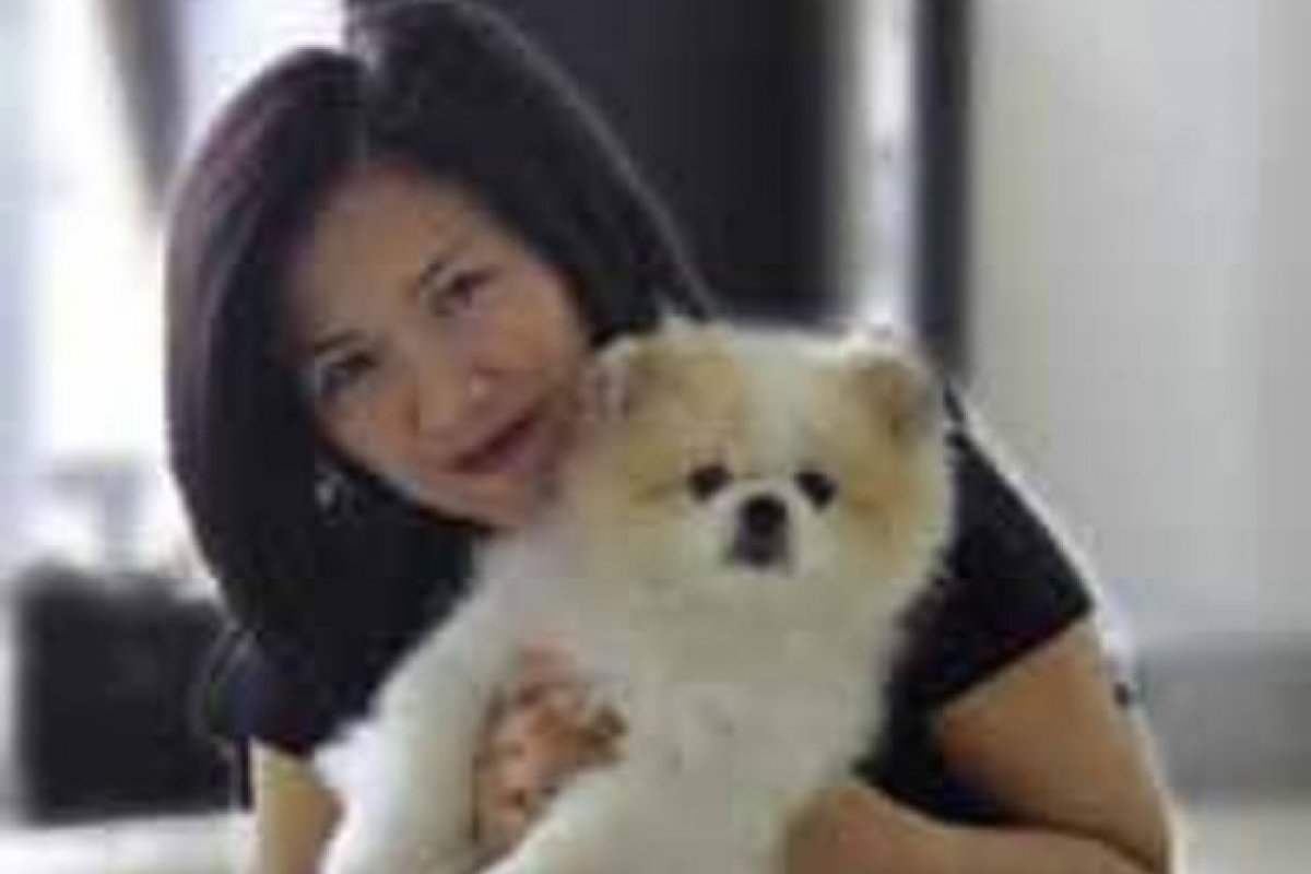 Cachorro é diagnosticado com COVID-19 em Hong Kong