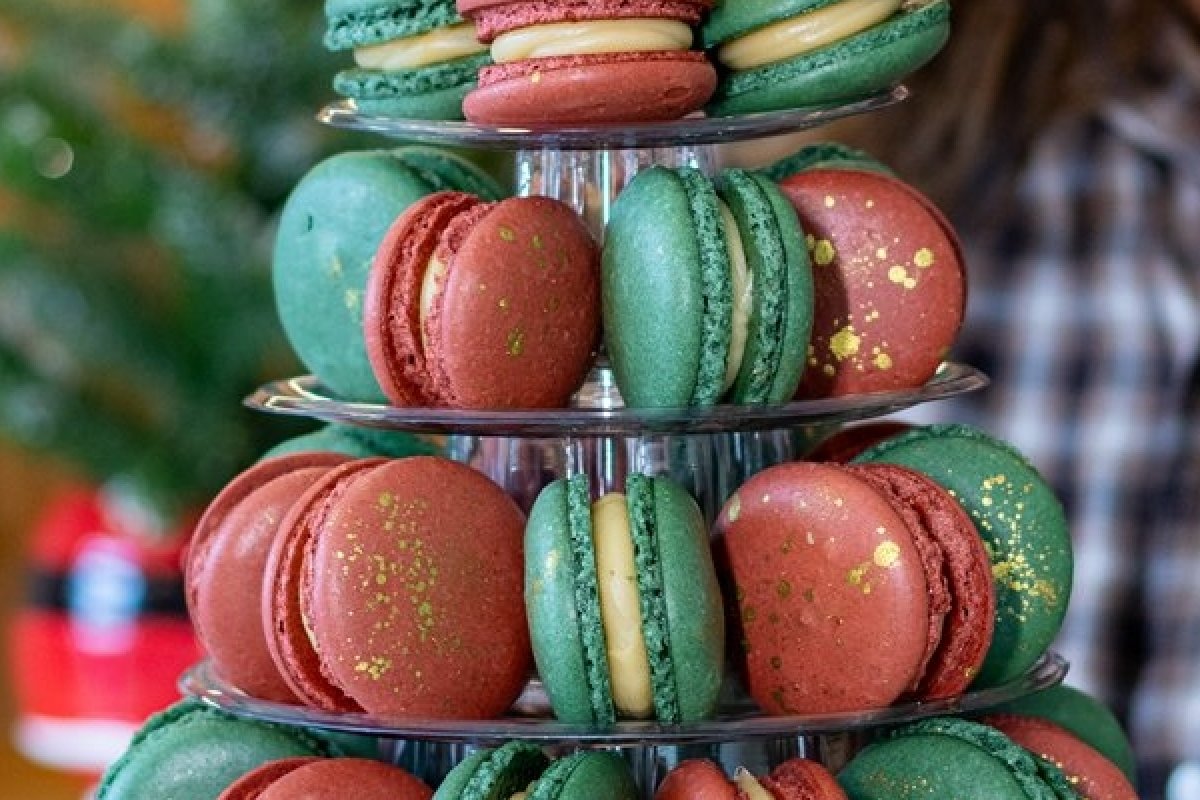 Jeanne Garcia apresenta Natal 2025 com panetones artesanais, bolos comemorativos e presentes gourmets