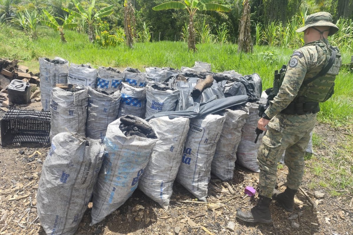 Mais de uma tonelada de carvão ilegal é apreendida pela Polícia Militar na Bahia