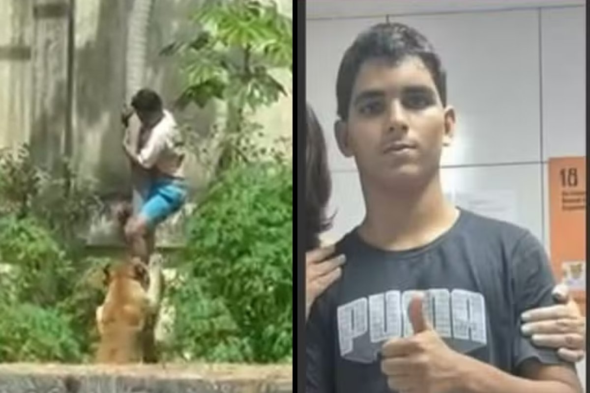 Zoológico tem atividades suspensas após leoa matar jovem que invadiu cela em João Pessoa; vítima tinha transtornos mentais e sonhava em domar leões