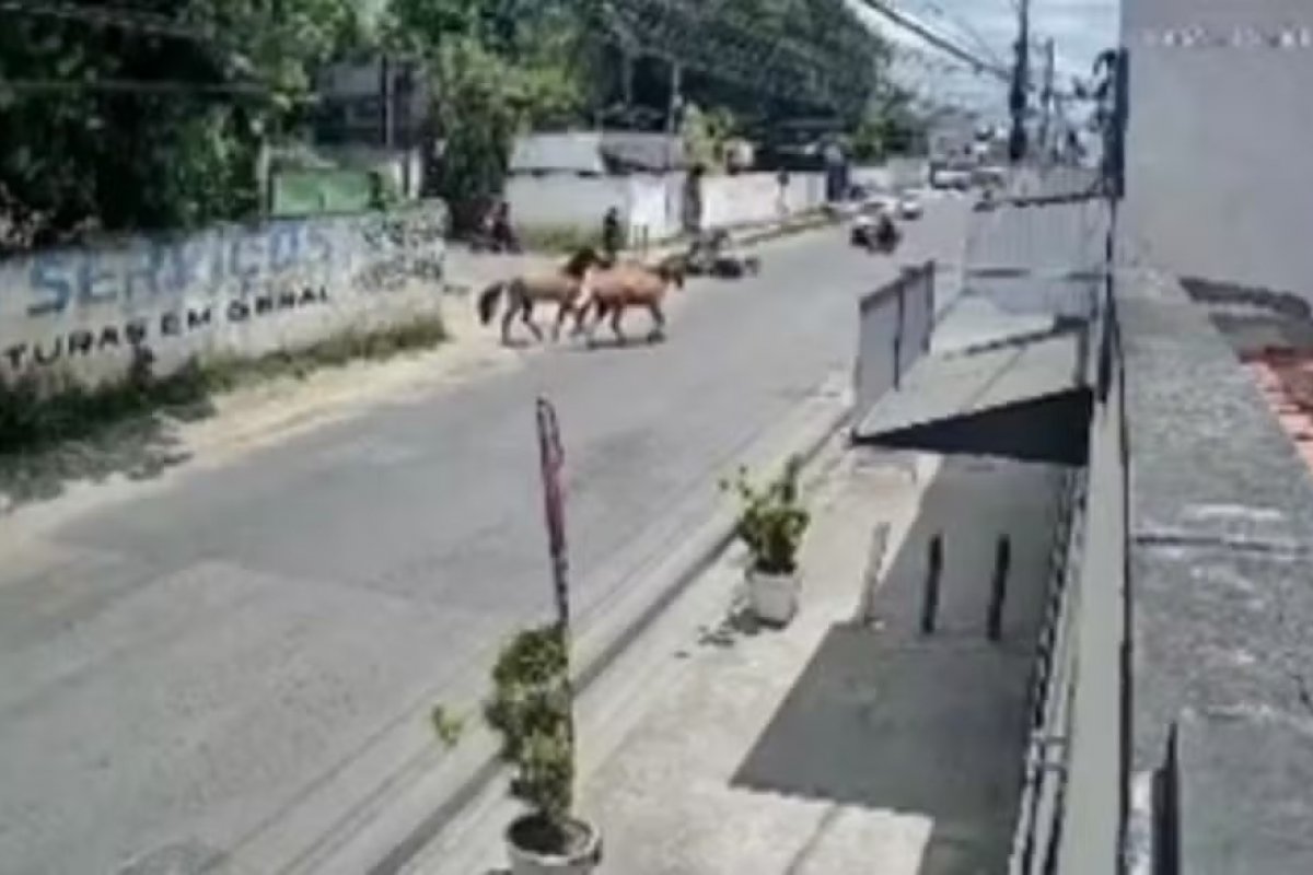 Motociclista fica ferido após ser atropelado por cavalos em Feira de Santana