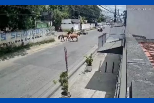 [Vídeo: motociclista é atropelado por cavalos em Feira de Santana]