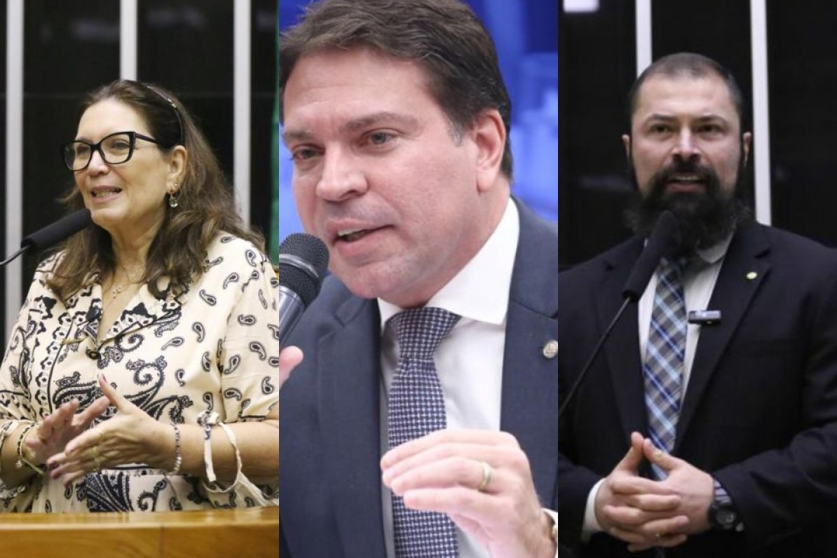 PF faz operação contra ataque hacker a deputados federais apoiadores do PL Antiaborto