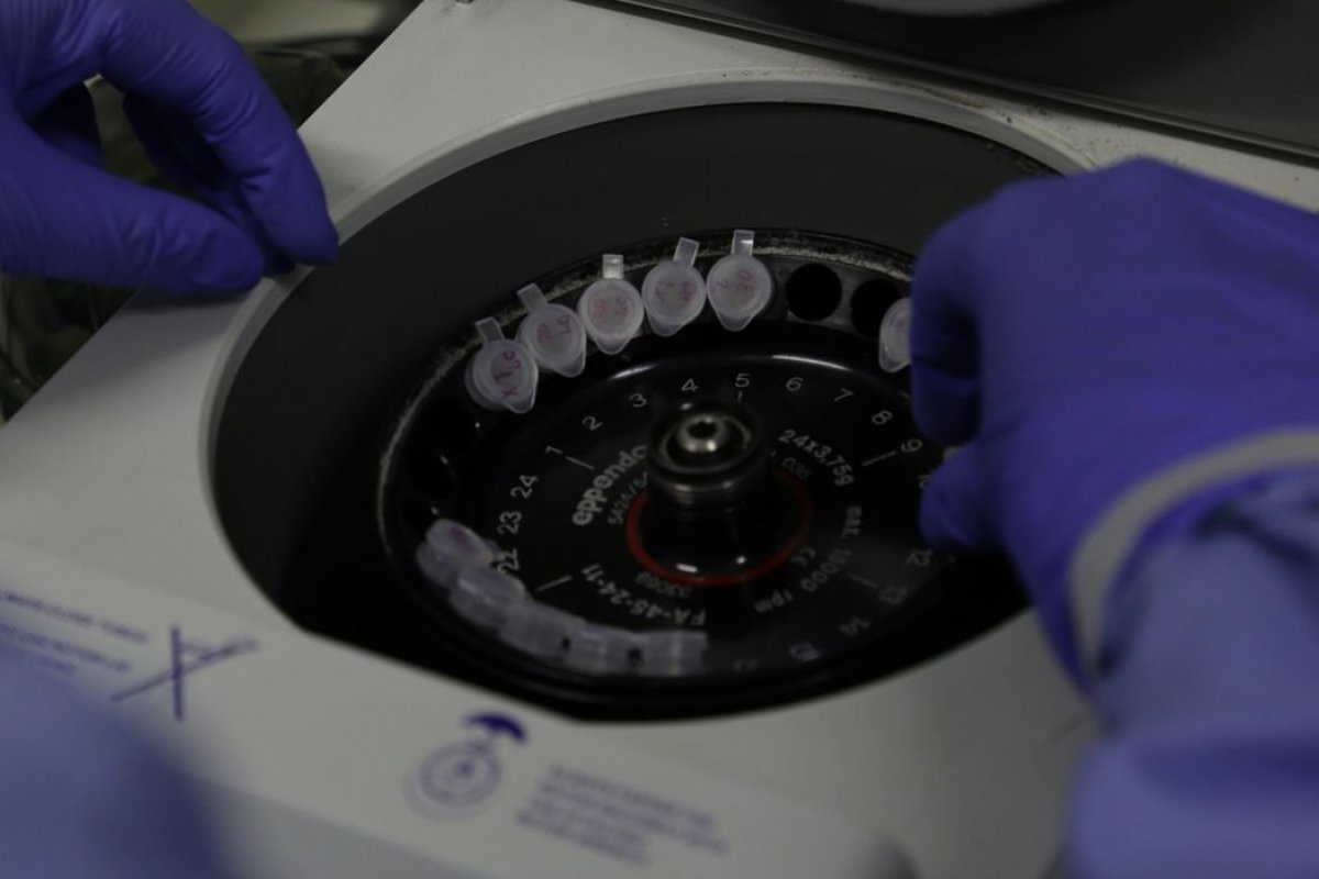 Médicos do CFM devem esclarecer sobre prevenção e tratamento do Covid-19