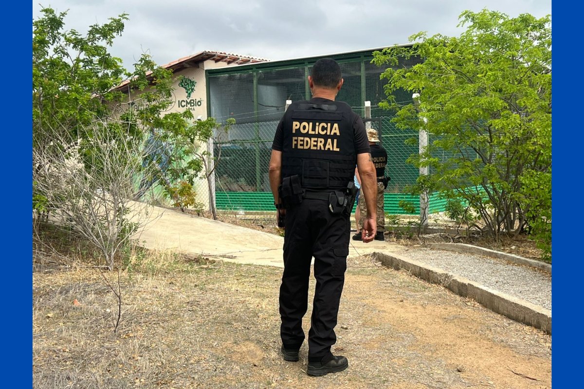 Polícia Federal investiga empresas e pessoas suspeitas de facilitar contaminação de doença em espécie ameaçada de extinção