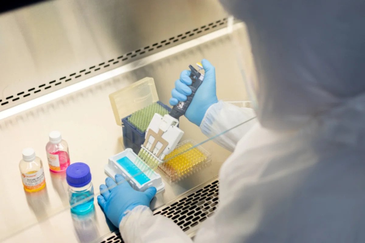 Bahia registrou mais de 90 casos de raiva em animais até o mês de novembro