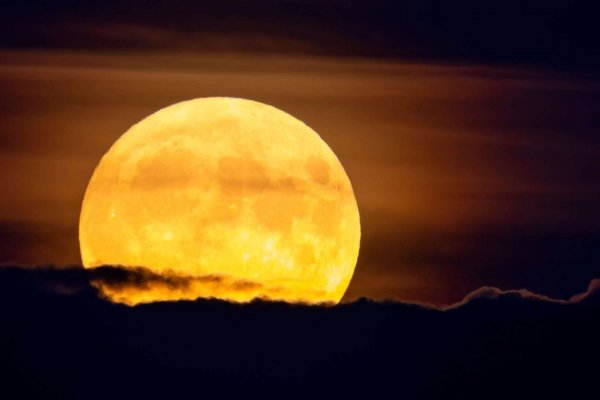 [Última superlua do ano pode ser vista na noite desta quinta-feira (4) ]