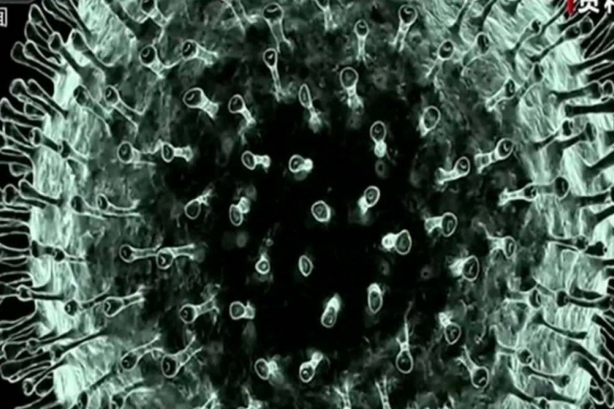 Em 48 horas, pesquisadores brasileiros descobrem sequência de genes do novo coronavírus