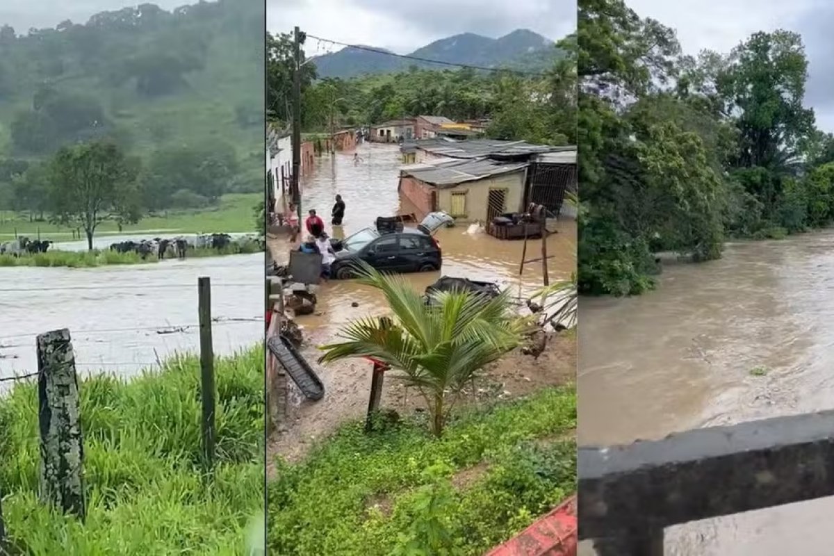 Rio transborda e obriga 52 famílias a deixar casas em Pau Brasil, no sul da Bahia
