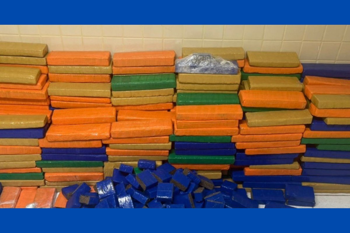 Polícia Militar apreende quase 1 tonelada de maconha em Simões Filho