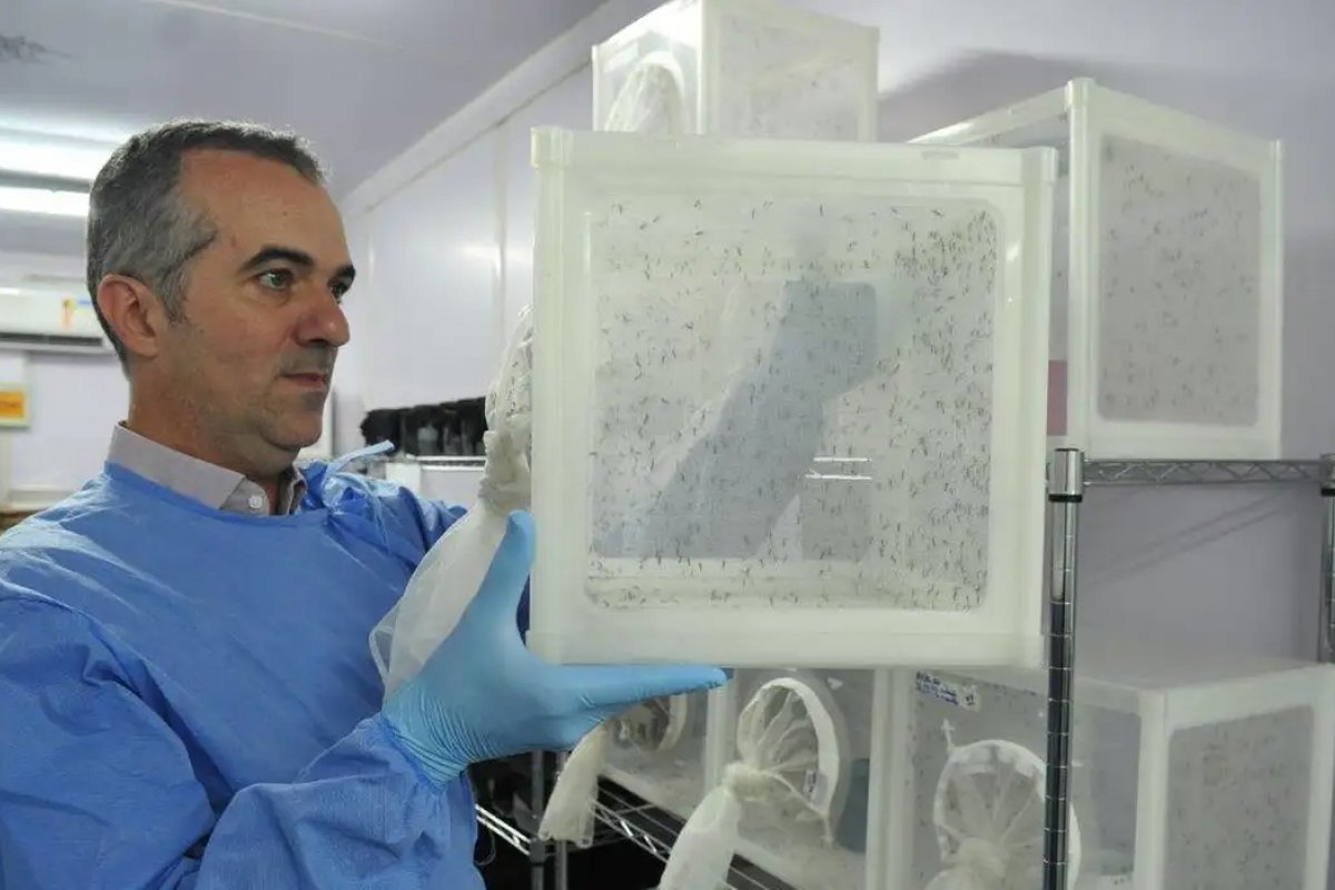 Brasileiro criador do "Aedes" que bloqueia dengue é eleito pela Nature