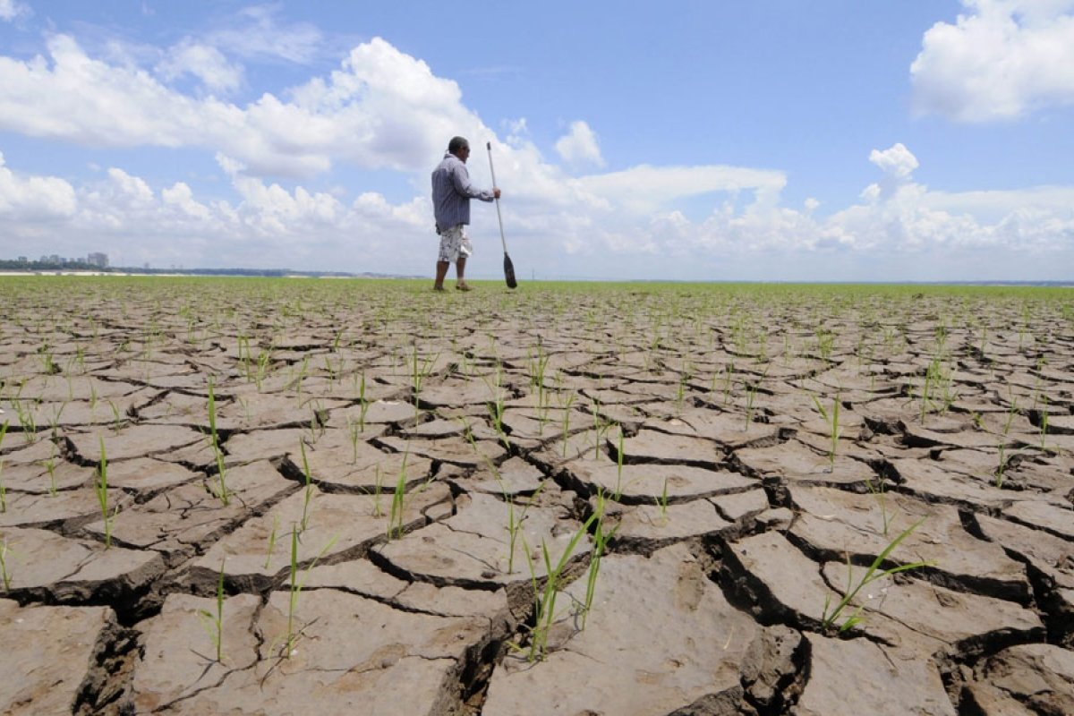 Com calor em novembro, 2025 deve ser o segundo ou o terceiro ano mais quente da história da humanidade