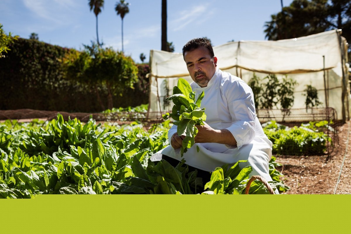 Restaurante Le Marocain do Hotel La Mamounia eleva o tradicional tagine à categoria de alta gastronomia!