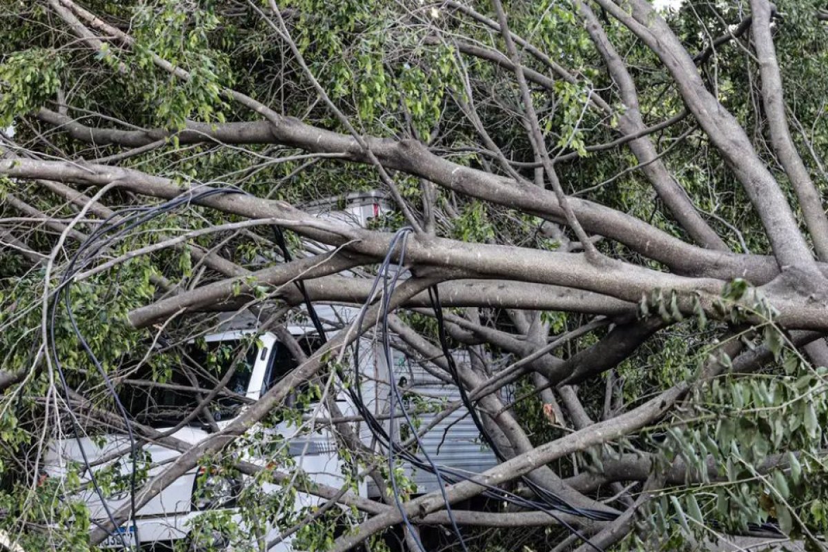 Ventos chegam a 98 km/h em São Paulo e deixam mais de 2 milhões de imóveis sem luz