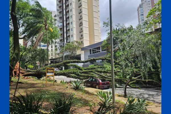 [Mais de 1,5 milhão de imóveis são afetados com falta de energia na Grande São Paulo]