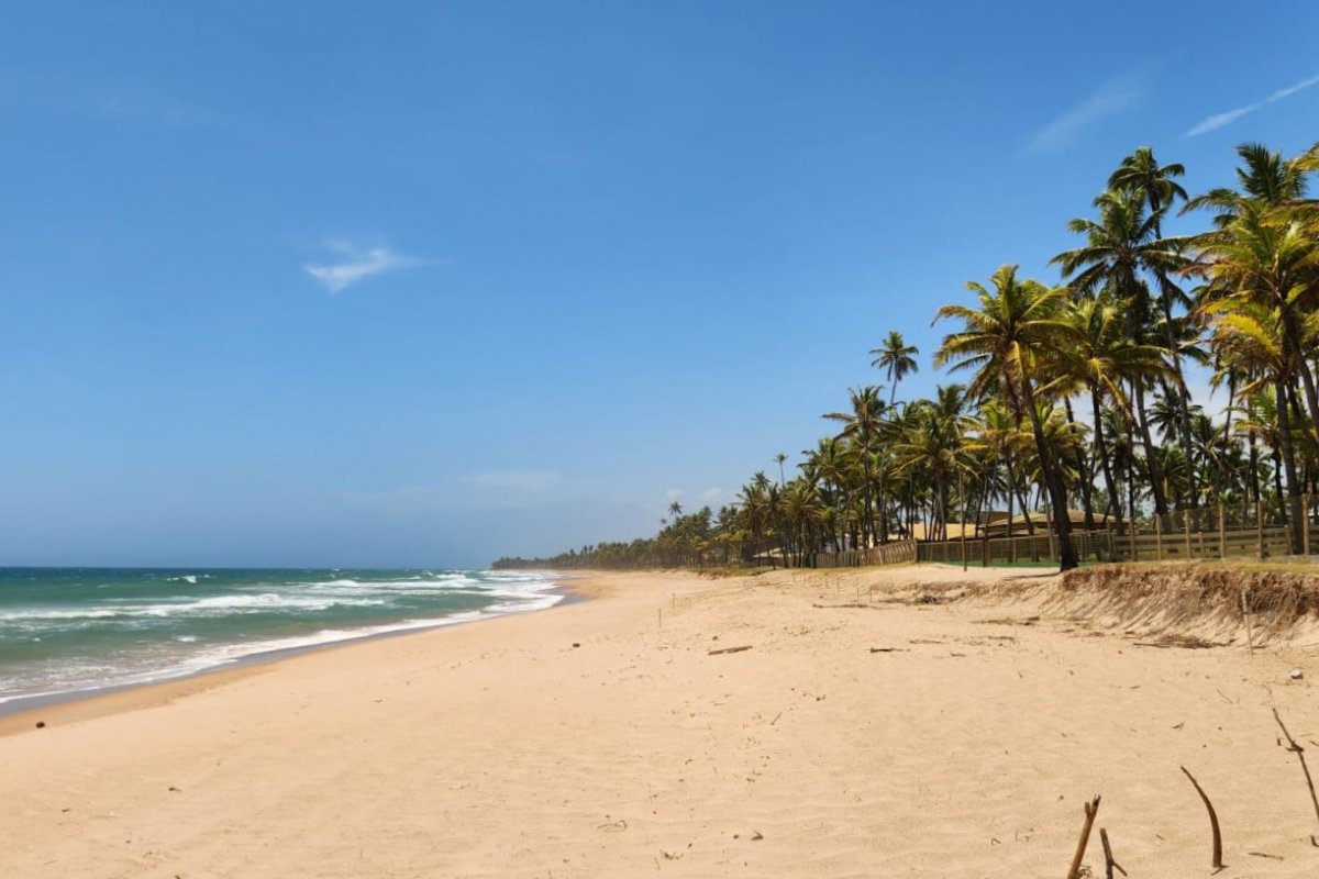 Busca Vida reforça ações de prevenção e cuidados ambientais para a chegada do Verão! 