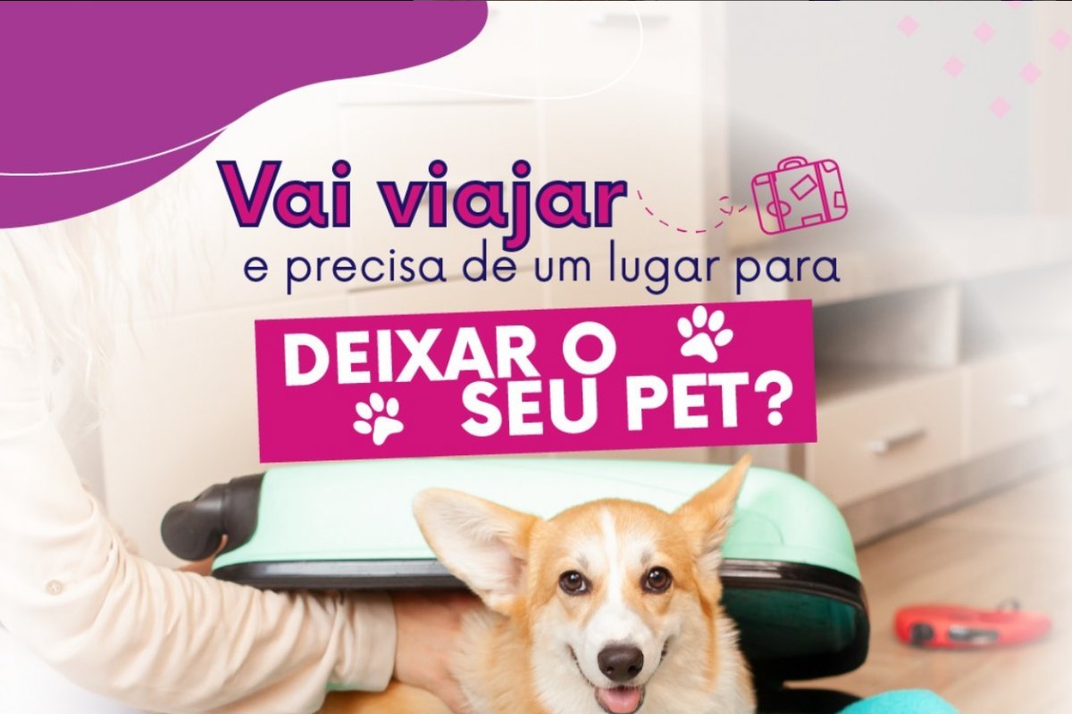 Dúvidas sobre onde deixar seu pet nas férias? Entenda o que importa na escolha da hospedagem! 