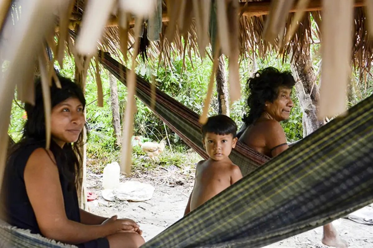 Brasil registra 115 povos indígenas isolados, mas apenas 29 são oficialmente reconhecidos