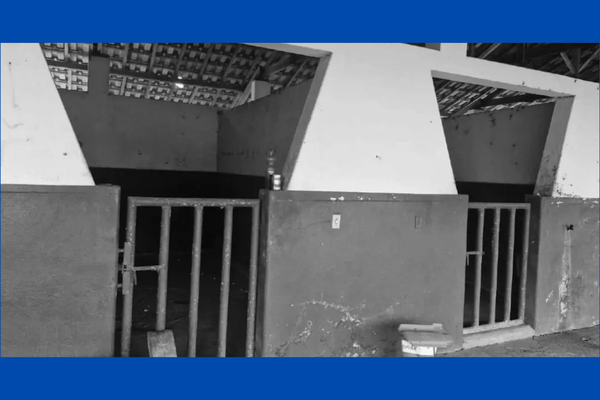 Trabalhadores são resgatados de condição análoga à escravidão em fazenda associada ao sócio da Brooksfield