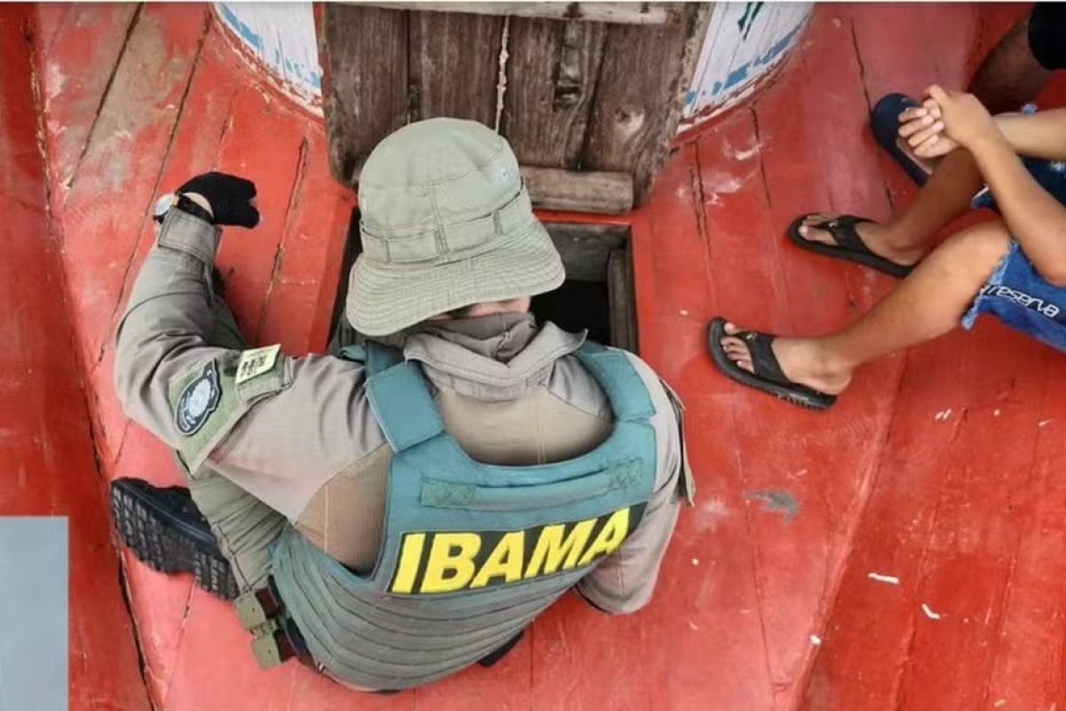 Ibama e Incra abrem inscrições para concursos com salários de quase R$ 10 mil