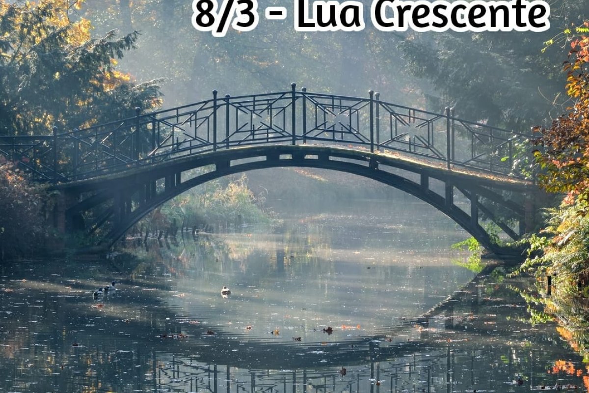 Confira o horóscopo da semana com a astróloga Andreia Modesto