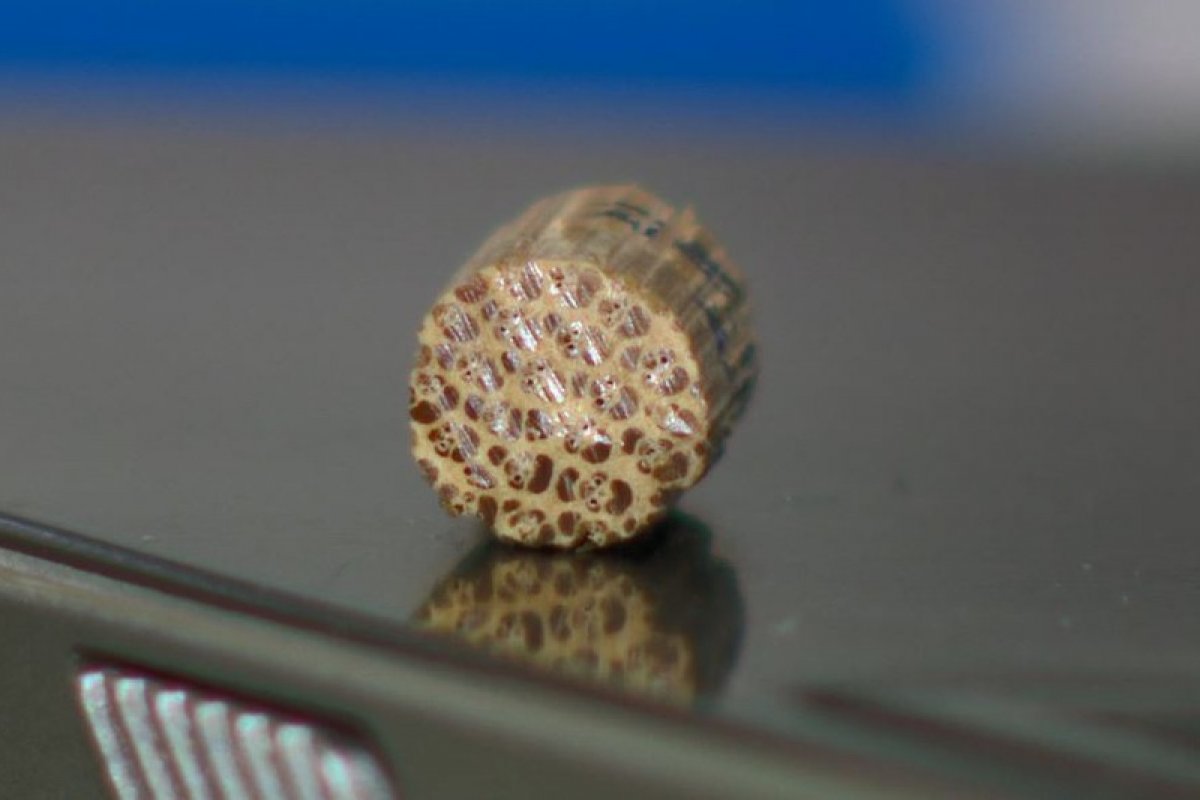 Pesquisa desenvolve utilização de bambu para substituir fios elétricos em construções