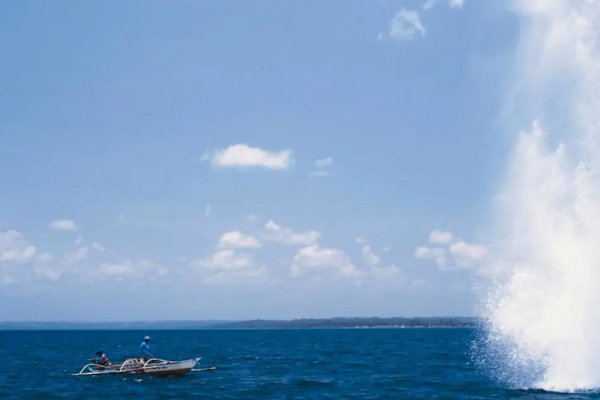 [PF realiza operação contra pesca ilegal com explosivos em Salinas da Margarida ]