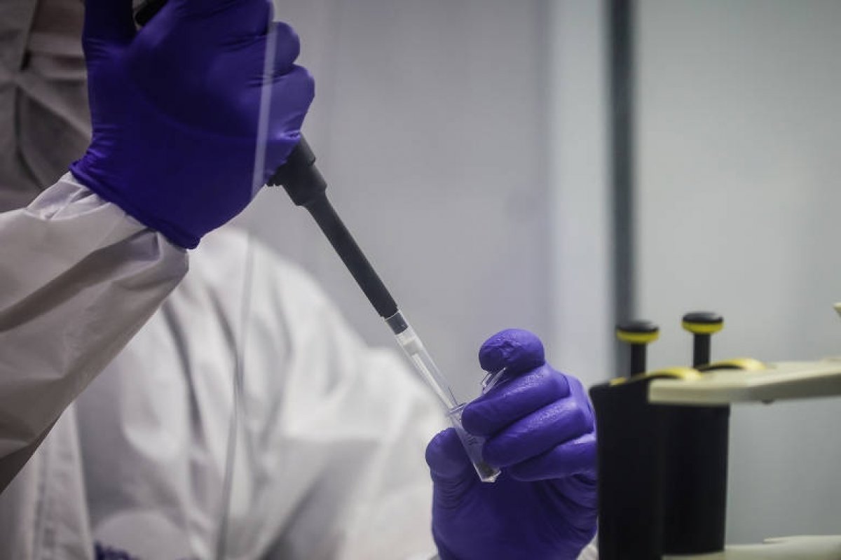 Brasil tem aumento de artigos científicos publicados, mas ainda é 14° em ranking