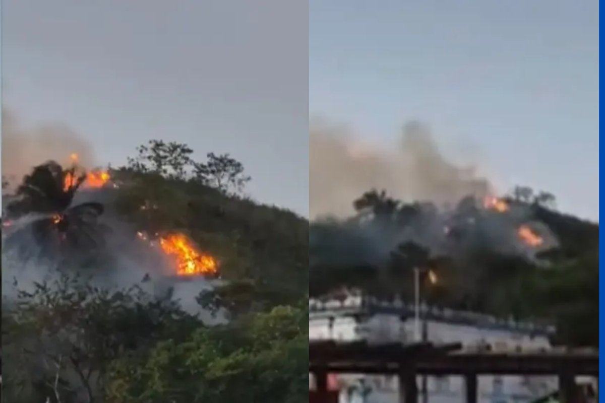 Vídeo: incêndio atinge terreno próximo a cemitério no recôncavo baiano