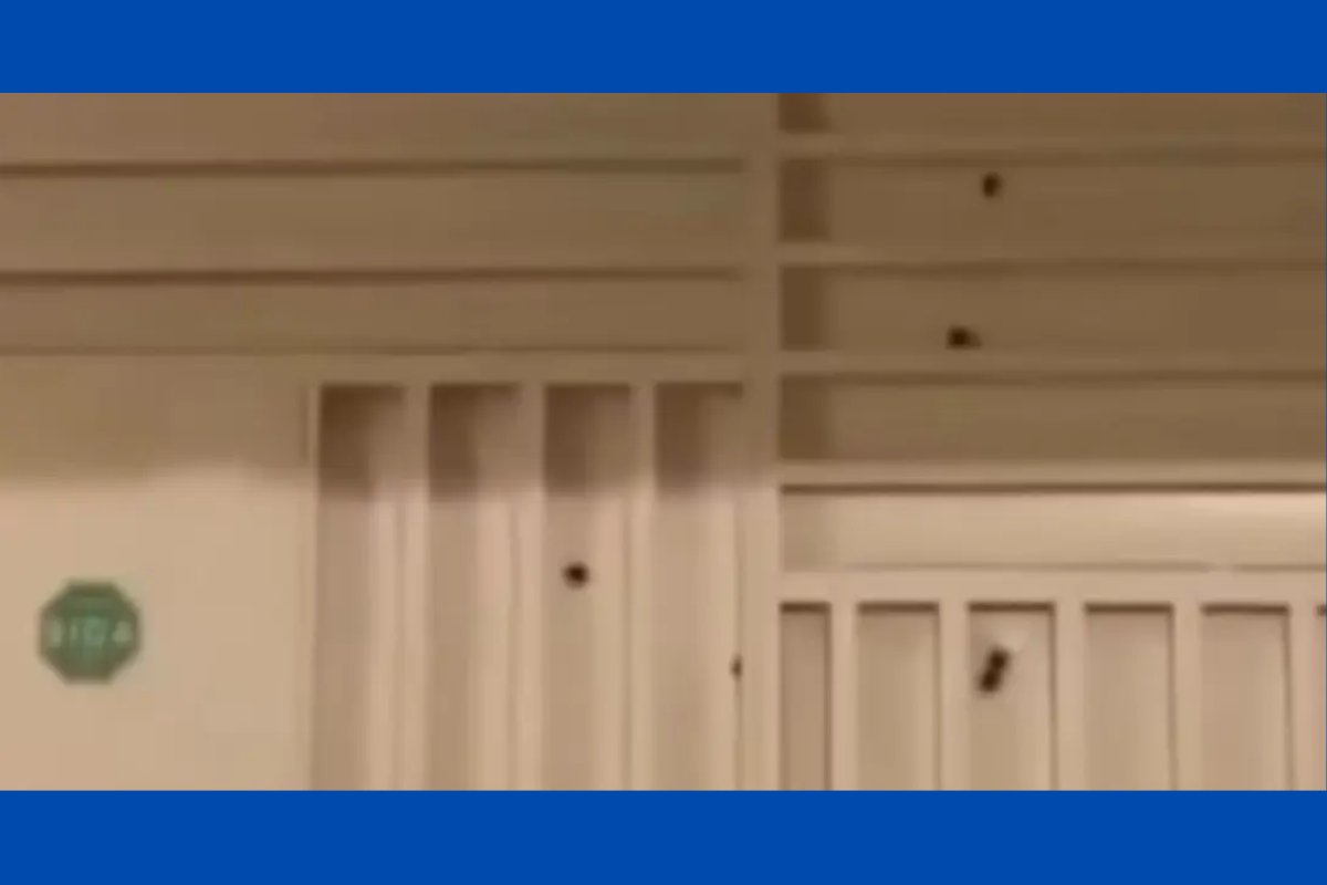 Casa de subtenente da PM é alvo de ataque a tiros no interior da Bahia