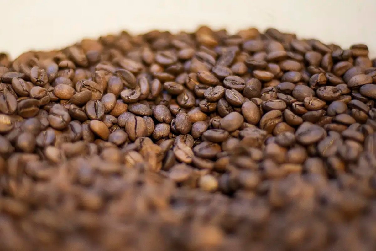 Preço do café deve continuar em queda em 2026