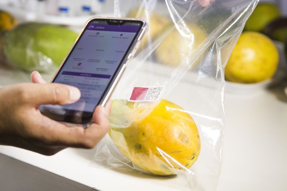 Embrapa desenvolve ferramenta que avalia grau de maturação de frutas