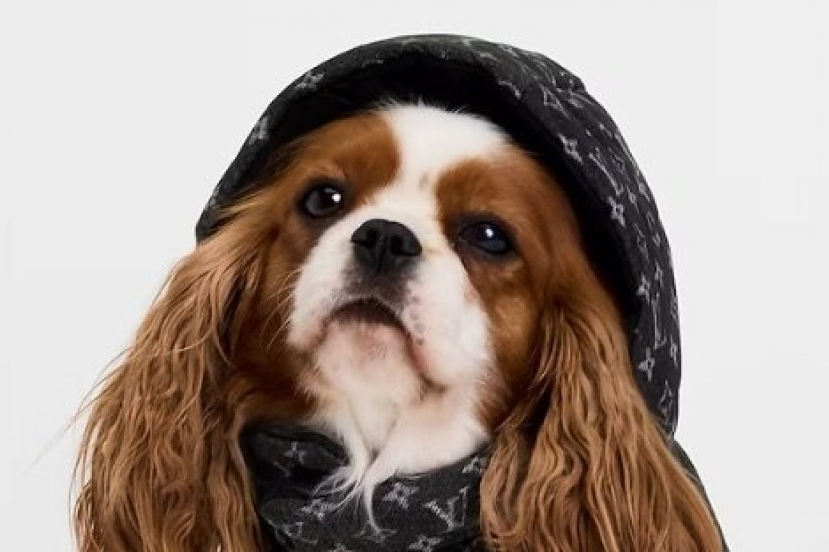 Louis Vuitton expande seu universo com o lançamento da Dog Collection 2026! 