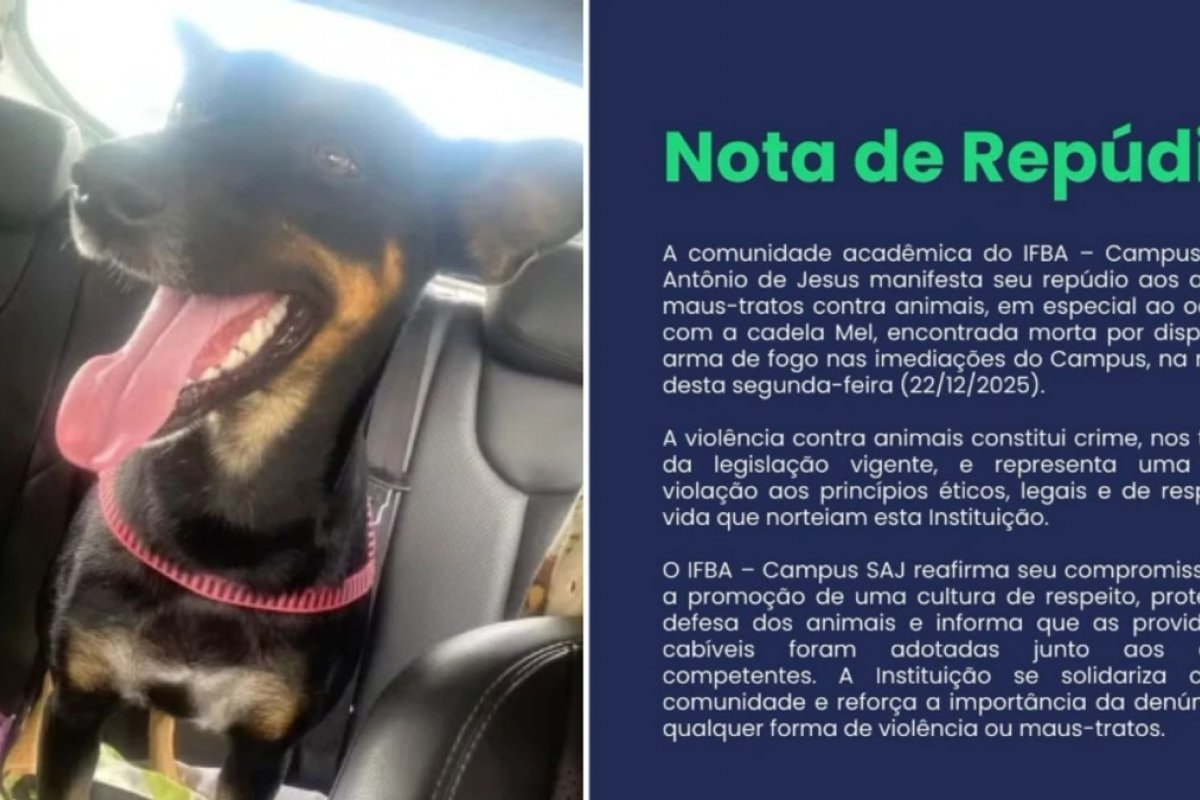 Cadela adotada por alunos do IFBA é morta a tiros; instituição diz que o animal não é a primeira vítima de violência no Instituto