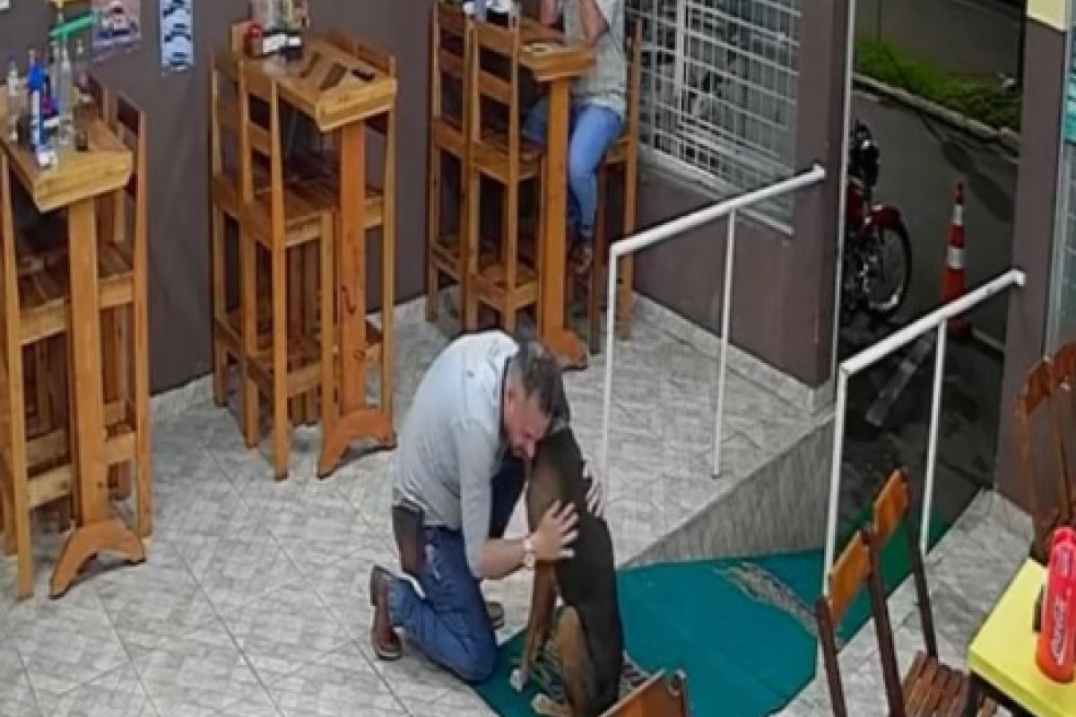 Vídeo: Pedido de abraço de cão vira-lata emociona comerciantes em Minas Gerais