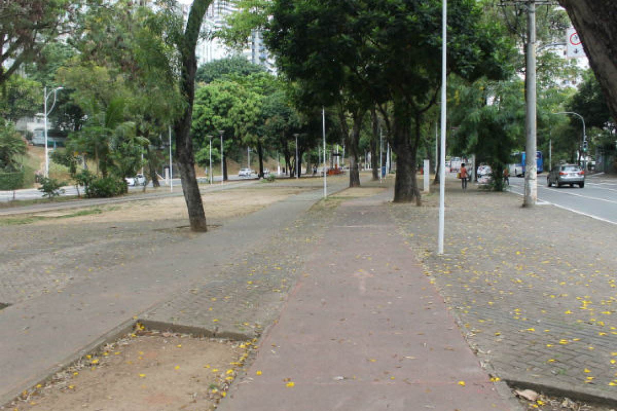 Canteiro central da Av. Centenário será requalificada