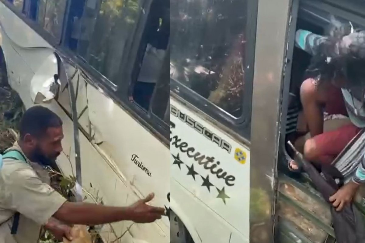 Vídeo: Passageiros saem pela janela após de ônibus cair em ribanceira em Trancoso