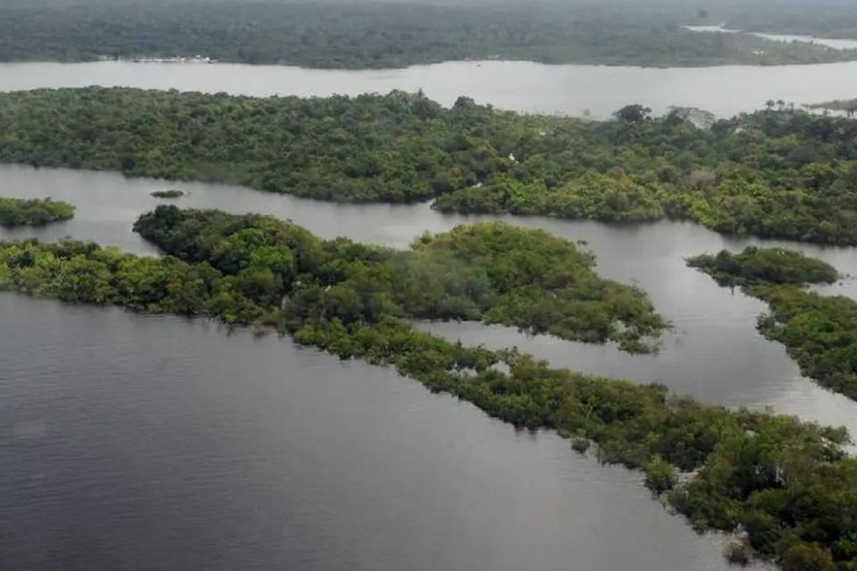 Desmatamento cai 9% na amazônia e no cerrado em 2025