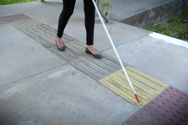 [Justiça determina fornecimento de transporte intermunicipal a estudantes com deficiência visual em Dias D'Ávila]