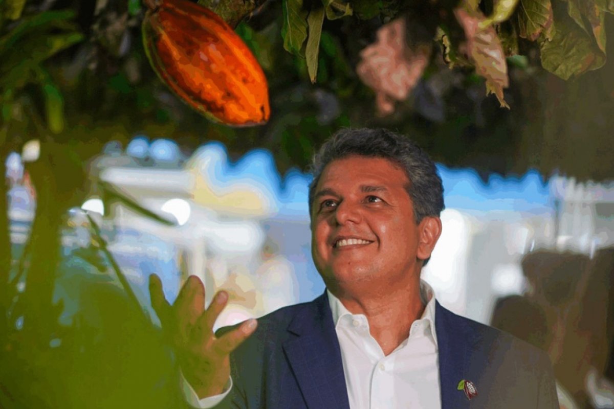 A era do Cacau: conheça a trajetória do empresário brasileiro que ajudou a tornar o fruto numa potência econômica e turística! 