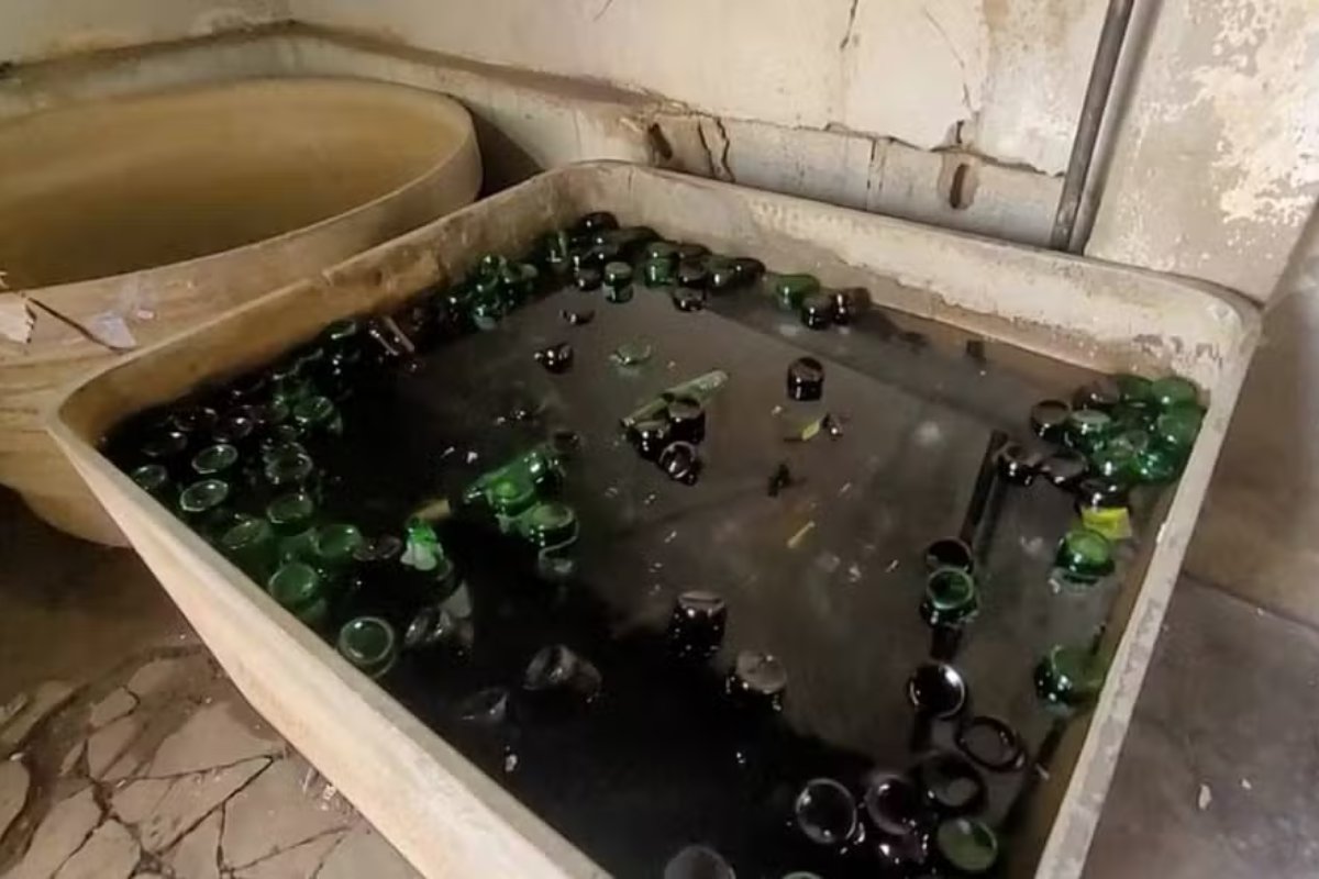 Vídeo: fábrica clandestina de bebidas que funcionava em condições sanitárias precárias é desativada na Bahia
