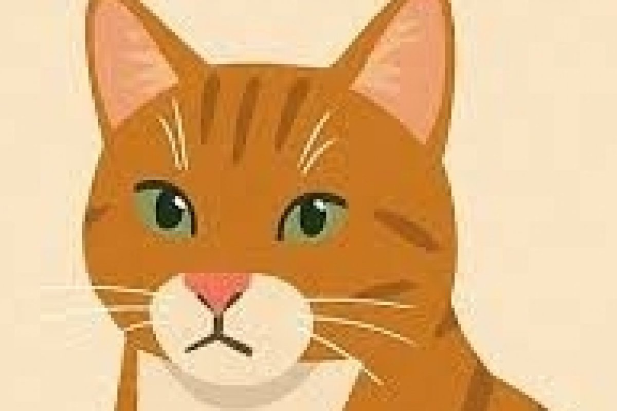 Médicos-veterinários alertam sobre cuidados nas férias de verão para evitar a esporotricose transmitida por gatos em crianças e adultos! 