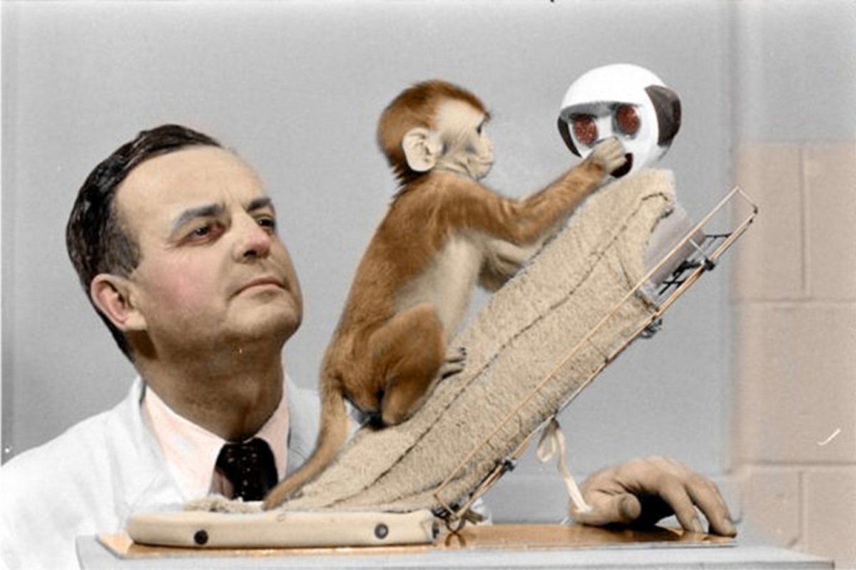 “A vida floresce no abraço”: vídeo de Telma Abrahão viraliza ao explicar, com ciência e narrativa, por que o afeto é vital desde o nascimento! 