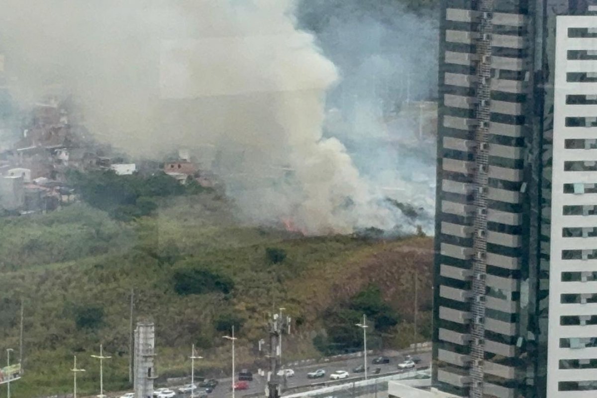Vídeo: incêndio atinge área de vegetação na ligação Iguatemi-Paralela, em Salvador