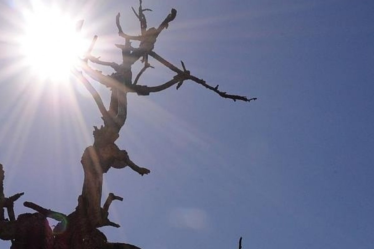 Governo reconhece situação de emergência em Vitória da Conquista e Ibicuí