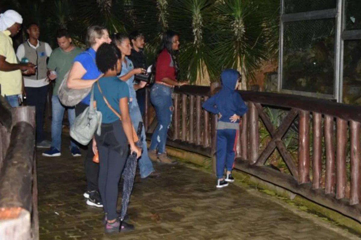 Zoológico de Salvador promove 1ª visita noturna de 2026 na próxima terça-feira (27)