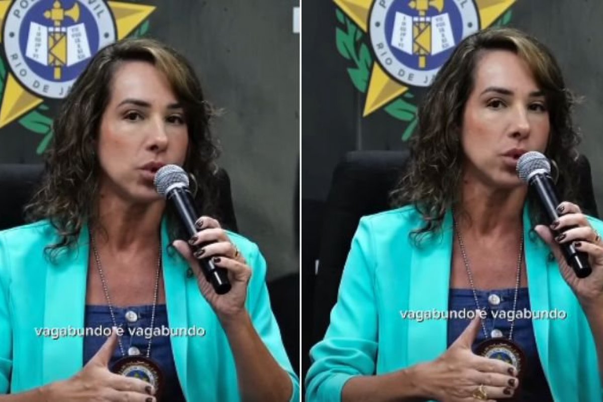 Vídeo: 'Romantizar vagabundo é para quem vive na beira da praia', diz delegada do Rio