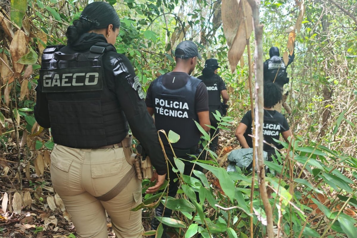 Cemitério clandestino do crime é encontrado no sul da Bahia