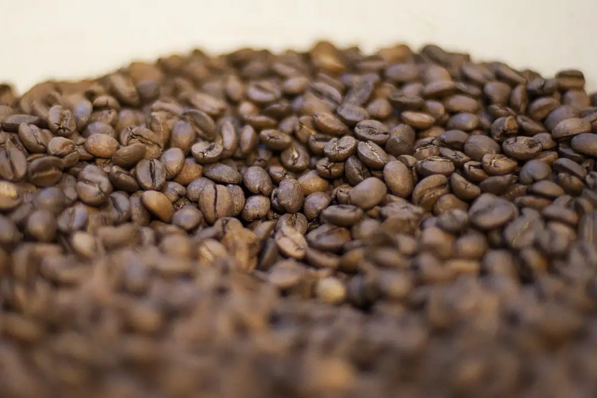 Café tem maior alta da cesta básica em 2025; preço deve manter patamar atual, aponta indústria